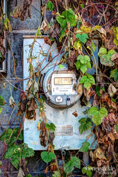 Utility meter captured on Annual World Wide Photo Walk 2012 by Catherine Jarret
